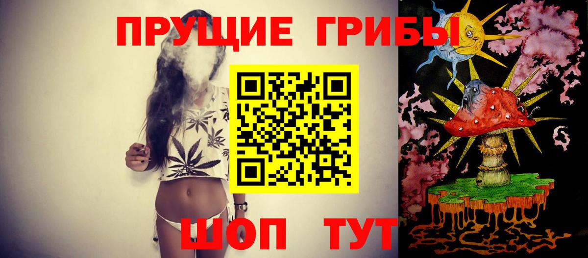 Галлюциногенные грибы Magic Shrooms  Псилоцибиновые грибы Cubensis  Вход с VPN  Пенза 