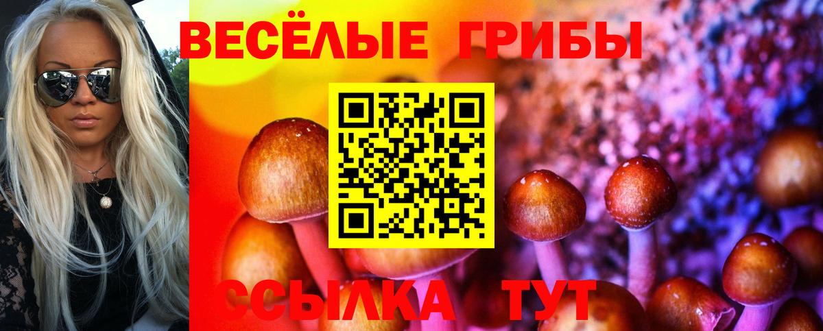 Галлюциногенные грибы ЛСД Пенза